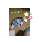 リリーのかわいい写真スタンプ（個別スタンプ：8）