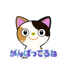 動く！ 全力で相槌をうつキュートなネコたち（個別スタンプ：3）