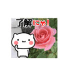 ▶動く！にゃんこと薔薇の花♥基本セット（個別スタンプ：10）