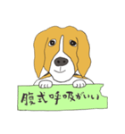 022 ビーグル犬＋健康生活（個別スタンプ：4）