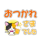 三毛猫ちゃんのデカ文字スタンプ（個別スタンプ：6）