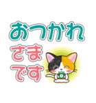 三毛猫ちゃんのデカ文字スタンプ（個別スタンプ：7）