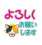 三毛猫ちゃんのデカ文字スタンプ（個別スタンプ：19）