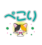 三毛猫ちゃんのデカ文字スタンプ（個別スタンプ：20）