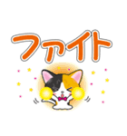 三毛猫ちゃんのデカ文字スタンプ（個別スタンプ：23）