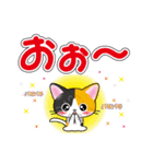 三毛猫ちゃんのデカ文字スタンプ（個別スタンプ：24）