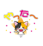 三毛猫ちゃんのデカ文字スタンプ（個別スタンプ：25）