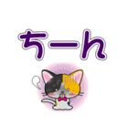 三毛猫ちゃんのデカ文字スタンプ（個別スタンプ：34）