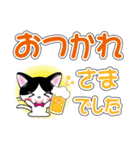 白黒はちわれ猫ちゃんのデカ文字スタンプ（個別スタンプ：6）