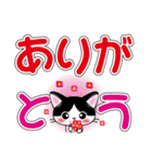 白黒はちわれ猫ちゃんのデカ文字スタンプ（個別スタンプ：11）