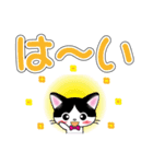 白黒はちわれ猫ちゃんのデカ文字スタンプ（個別スタンプ：15）