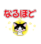 白黒はちわれ猫ちゃんのデカ文字スタンプ（個別スタンプ：22）