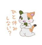 ねこップちゃんスタンプ（個別スタンプ：11）