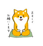 シバちゃんがいく！柴犬スタンプ（個別スタンプ：6）