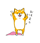 シバちゃんがいく！柴犬スタンプ（個別スタンプ：7）