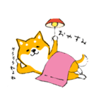 シバちゃんがいく！柴犬スタンプ（個別スタンプ：8）