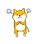シバちゃんがいく！柴犬スタンプ（個別スタンプ：9）
