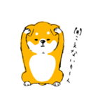 シバちゃんがいく！柴犬スタンプ（個別スタンプ：12）