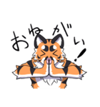 うちの子 スタンプ No.4（個別スタンプ：2）