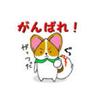 ももわんとりすっぷる普段使えるスタンプ（個別スタンプ：9）