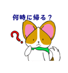 ももわんとりすっぷる普段使えるスタンプ（個別スタンプ：16）