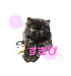 ダーちゃんスタンプ（個別スタンプ：7）