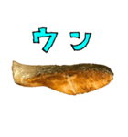 焼き シャケ と 手書き文字（個別スタンプ：31）