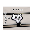 【わんちゃん】は猫ちゃん！（個別スタンプ：25）