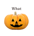 かぼちゃ ハロウィン と 英語 English（個別スタンプ：5）