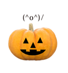 かぼちゃ ハロウィン と 英語 English（個別スタンプ：23）