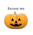 かぼちゃ ハロウィン と 英語 English（個別スタンプ：29）