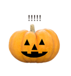 かぼちゃ ハロウィン と 英語 English（個別スタンプ：31）