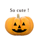 かぼちゃ ハロウィン と 英語 English（個別スタンプ：37）