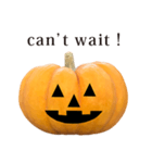 かぼちゃ ハロウィン と 英語 English（個別スタンプ：40）