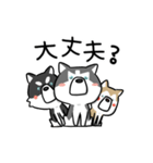 犬語ずかん【シベリアンハスキー編Ⅱ】（個別スタンプ：7）