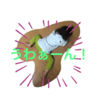 ちびっこめんこちゃん（個別スタンプ：2）