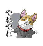 細目の動物スタンプ（個別スタンプ：35）