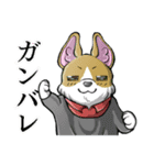 細目の動物スタンプ（個別スタンプ：36）