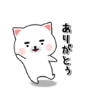 ぬこ太です。（個別スタンプ：1）