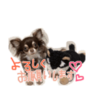 うちの天使ラスちゃん！（個別スタンプ：4）