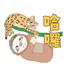 SLOTH CHEEGO II（個別スタンプ：25）