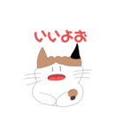 ふっくらねねちゃん（個別スタンプ：34）