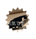 あんじーと14にゃんず#21（個別スタンプ：5）