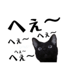 黒猫 KEYちゃん4（個別スタンプ：3）