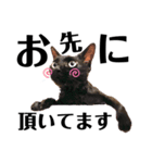 黒猫 KEYちゃん4（個別スタンプ：6）