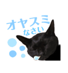 黒猫 KEYちゃん4（個別スタンプ：10）
