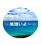 *宮古島*6*冬編*（個別スタンプ：11）