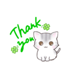サバトラねこのスタンプ（英語版）（個別スタンプ：3）