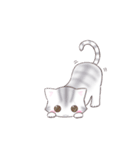 サバトラねこのスタンプ（英語版）（個別スタンプ：8）