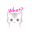 サバトラねこのスタンプ（英語版）（個別スタンプ：11）